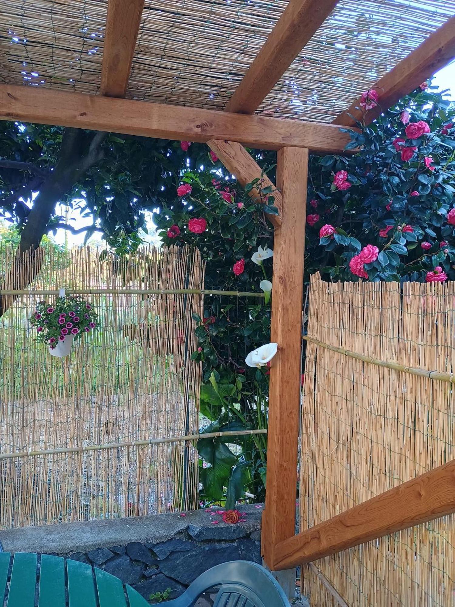 La Casa Dei Due Aranci Villa Albisola Superiore Kültér fotó